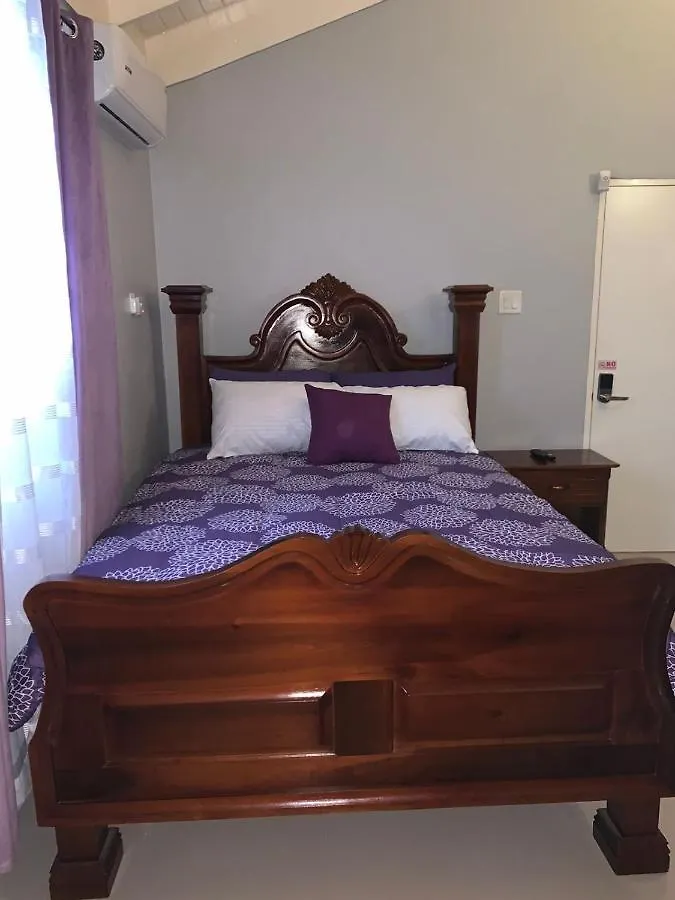 Homestay Paradise Villa Shared Onsite Private Pool Onsite Gym Ocho Rios Jamaica