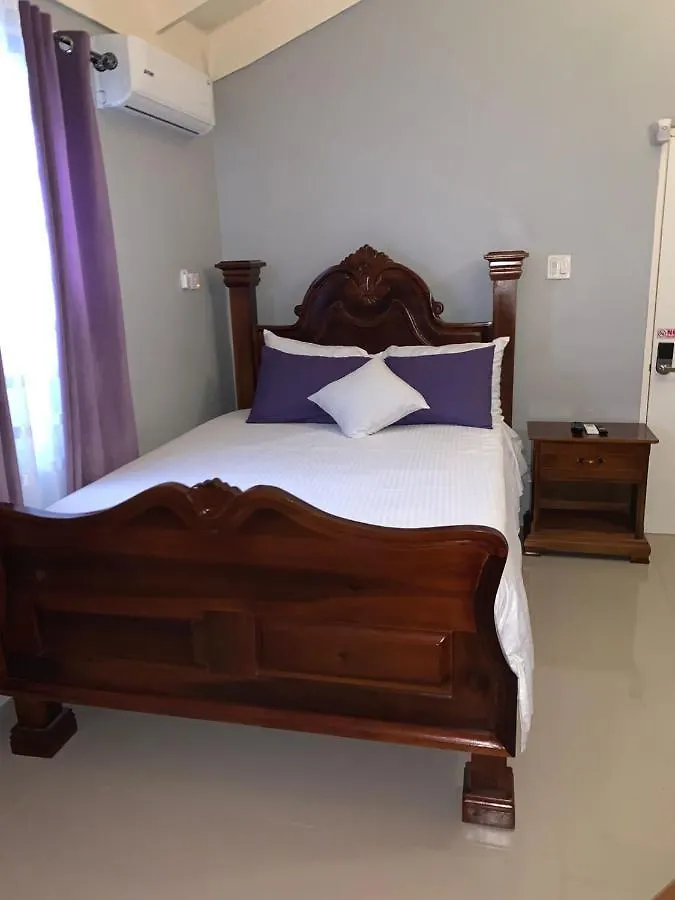 Paradise Villa Shared Onsite Private Pool Onsite Gym Ocho Rios