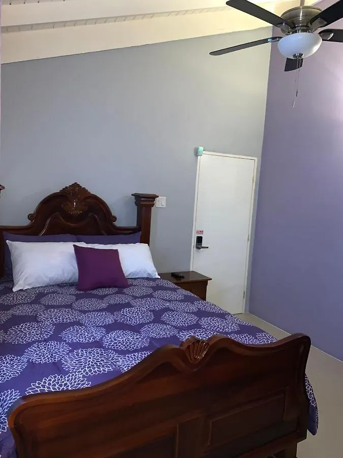 Paradise Villa Shared Onsite Private Pool Onsite Gym Ocho Rios Homestay